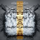 Alex Udin - Hybridization