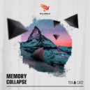 Tea & Catz - Memory Collapse