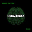 Marco Bottari - Tiger