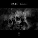 P.T.B.S. - In Your Body