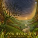Silent Alkaloid - Black Mountain