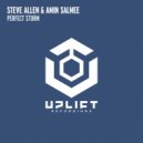 Steve Allen & Amin Salmee - Perfect Storm