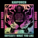 Karpovich - What You Like