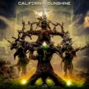 California Sunshine - Save your Soul