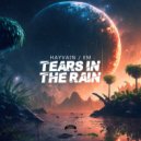 Hayvain & EM - Tears In The Rain