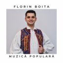 Florin Boita - Eu in sat ma-intorc cu drag