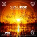 Dj Pike - Springtide (Special Future Garage 4 Trancesynth Show Mix)
