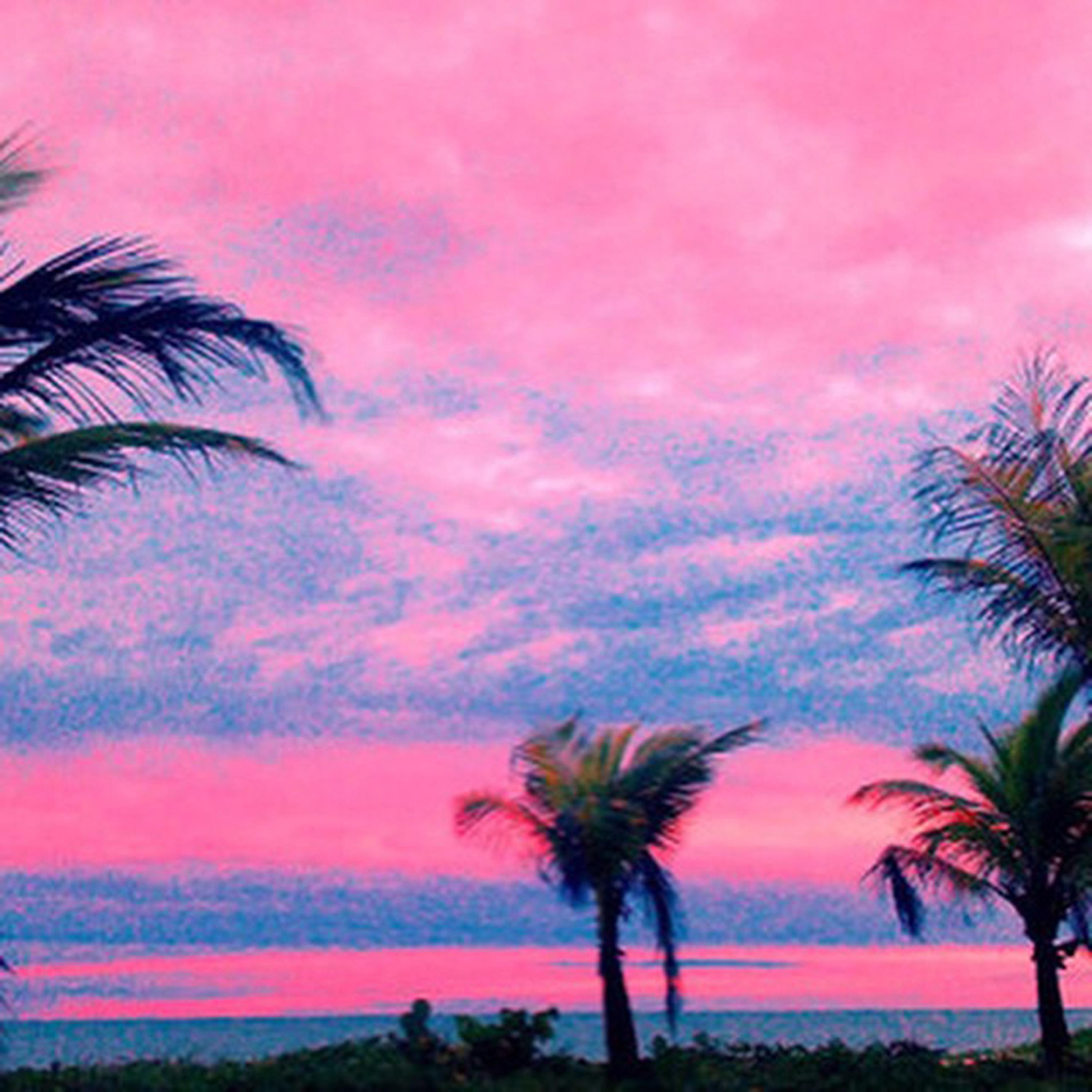 Не лето и майами песня. Пальмы розовое небо. Розовый закат. Пальмы море розовое. Розовые пальмы.