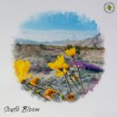 South Bloom - Let Me In