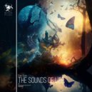 Sonic Scope - The Sounds of Life