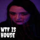It's Electronic Music - WTF IS HOUSE
